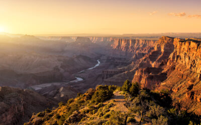 Charting the Future with AI